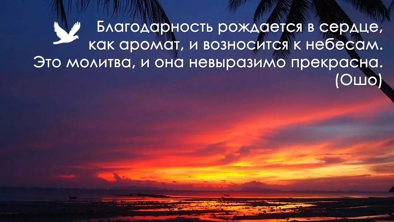 Благодарный это