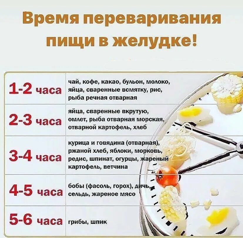 Пища непереваренная через час