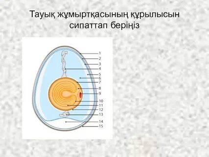 Терең жұлдыру бейне