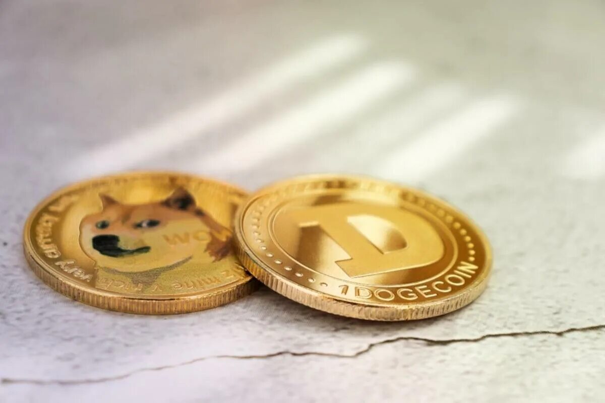 Золотая монета Dogecoin. Мем коин. Мемы про монеты. Аккумуляция крипто. Монета meme