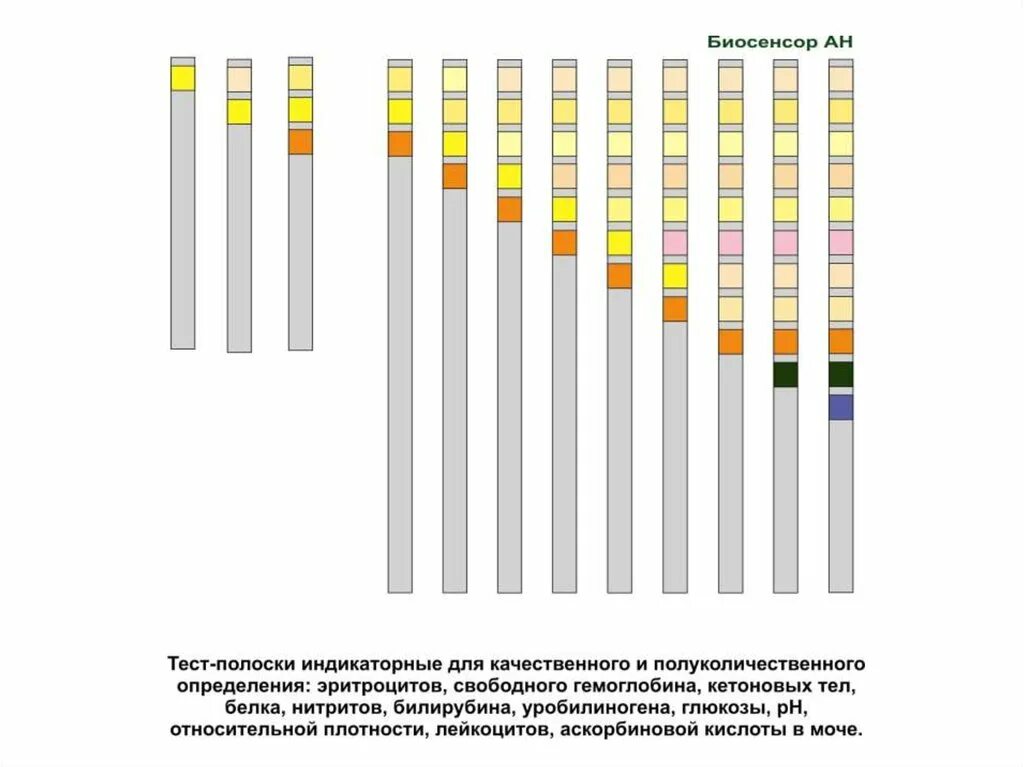 Биосенсор тест-полоски. Тест полоски для определения эритроцитов. Определение кетоновых тел в моче тест полосками. Тест полоски для определения эритроцитов в моче.