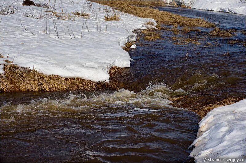 Талые воды весной. Ручьи весной. Весенние ручьи. Весенний Ручеек. Талые воды.