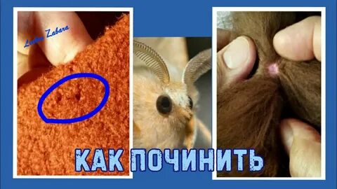 Моли после
