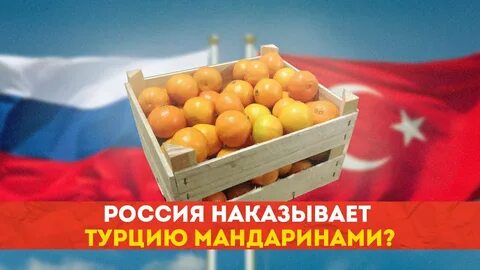 Ввоз в турцию