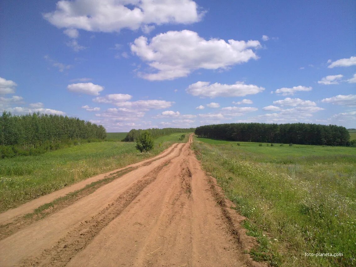 Арск Кырлай дорога. Старые дороги. Старинная дорога. Ветхая дорога.