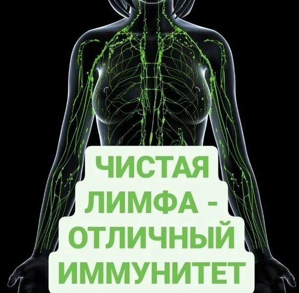 Комплимент иммунитет