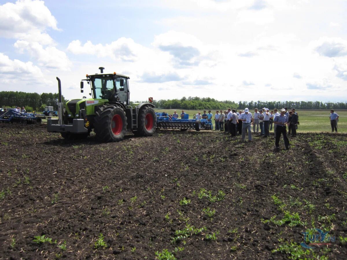Прогноз погоды тимирязево. Тимирязевский ульяновск. Село тимирязево северо-казахстанская область. Тимирязево (крым). Поселок тимирязево.