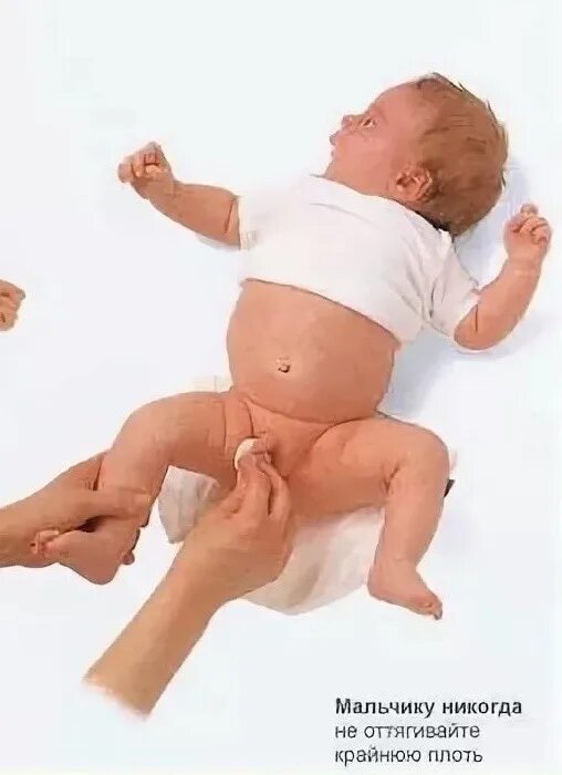 Как ухаживать за половым органом. Половые органы младенца. Новорожденных мальчики органы. Половые органы новорожденных мальчиков. Половые органы новорожденных девочек.