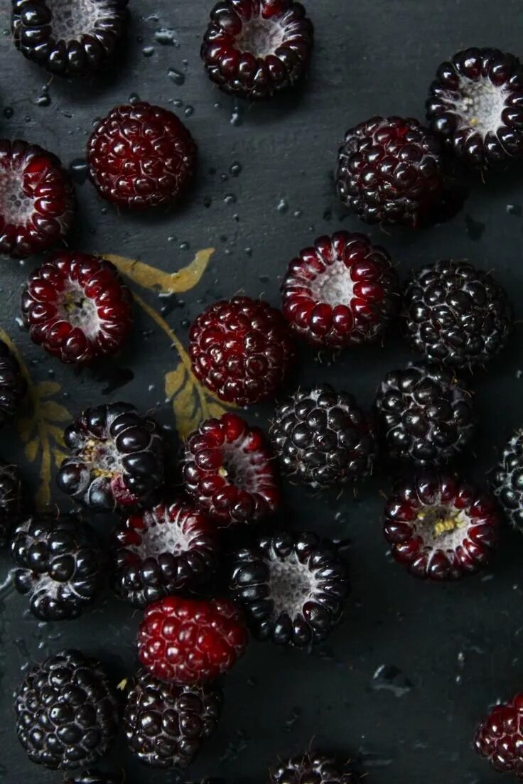 Фрукт черного цвета. Темные ягоды. Ягоды Эстетика. Фрукты на темном фоне. Необычные ягоды.