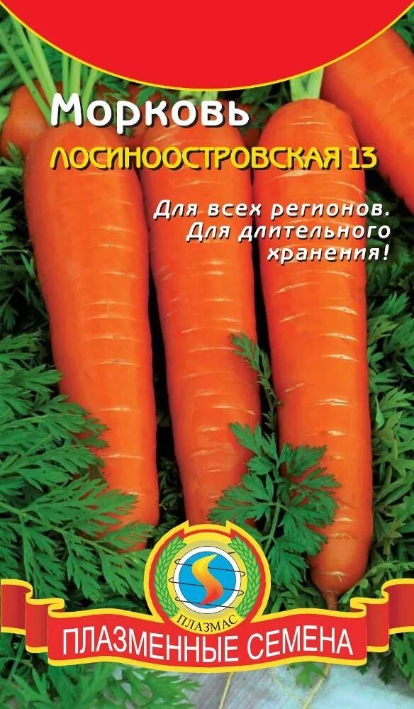 Морковь Лосиноостровская: характеристика и описание сорта, отзывы, фото, достоин