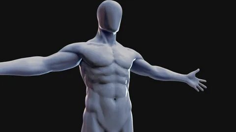 Body d