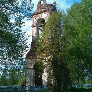 Спас береза