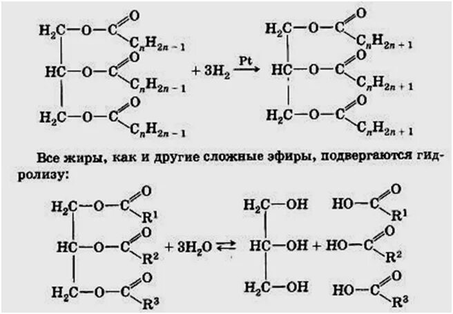 Жиры самостоятельная работа 10 класс. Жиры реакция горения. гидролиз сложных эфиров и жиров. горение жиров реакция. реакция образования жиров.