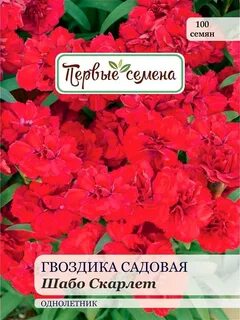 Гвоздика отзывы