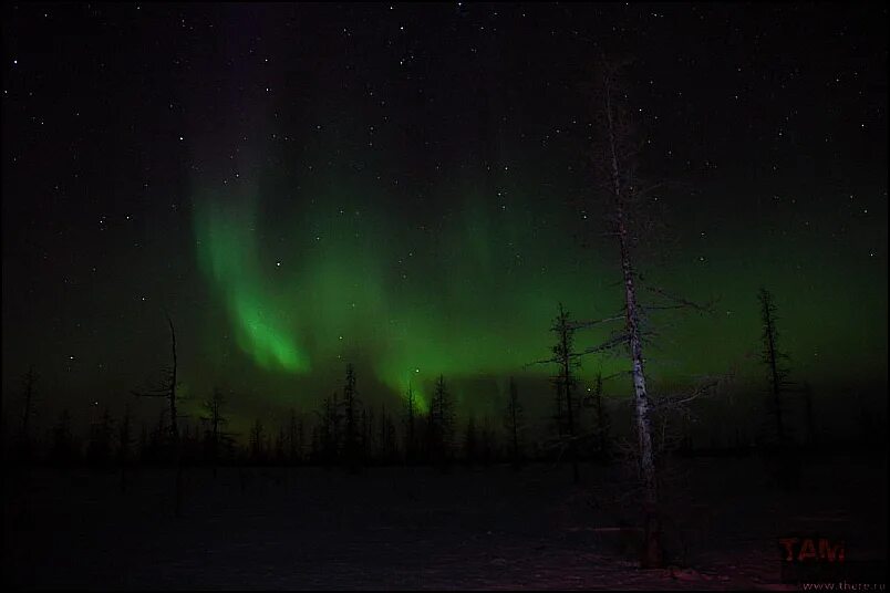 Полярная ночь в тундре россии. Полярной ночью в тундре ответы. Полярной ночью в тундре ответы. Тундра и лесотундра северное сияние. Северное сияние в тундре.