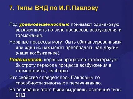 Нервные процессы