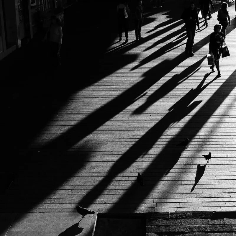 Длинные тени. Тень от человека. Длинная тень от машины в пустыни. Побежали длинные тени. Длинная тень от человека.