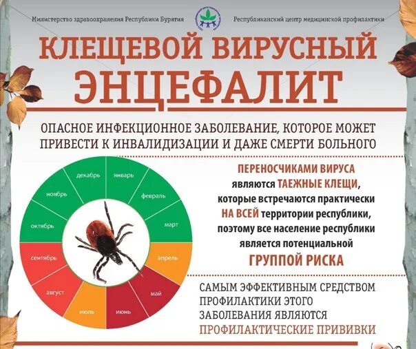 Памятка по вакцинации от клещевого энцефалита. Профилактика клещевого энцефалита буклет. Памятка прививки от клещевого энцефалита. Профилактика клещевого инцефалит. Памятка по вакцинации от клещевого энцефалита.