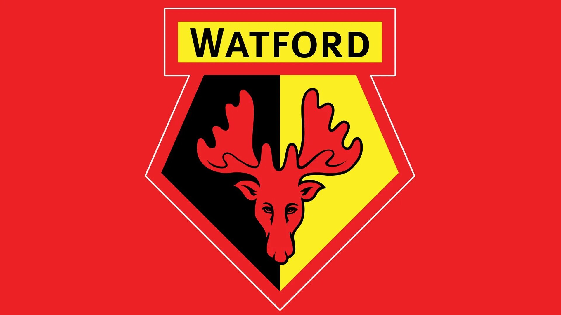 Футбольный клуб уотфорд. Уотфорд старый логотип. Watford логотип pdf. Watford Ultras. Уотфорд догикоин на футболках.