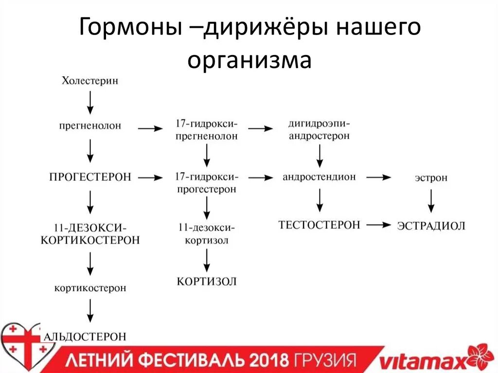 Сколько делают гормоны. Схема гормонов в организме человека. Гормоны схема действия в организме. Схема образования гормонов в организме человека. Схема выработки гормонов.