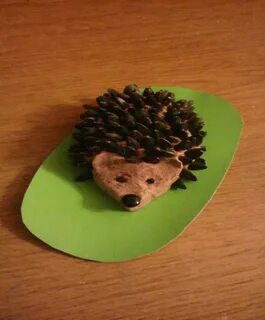 Ежик из пластилина младшая группа