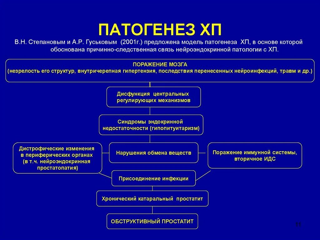 Патогенез хронического простатита. Простатит этиология. Простатит этиология и патогенез. Патогенез острого и хронического простатита. Исходы патогенеза