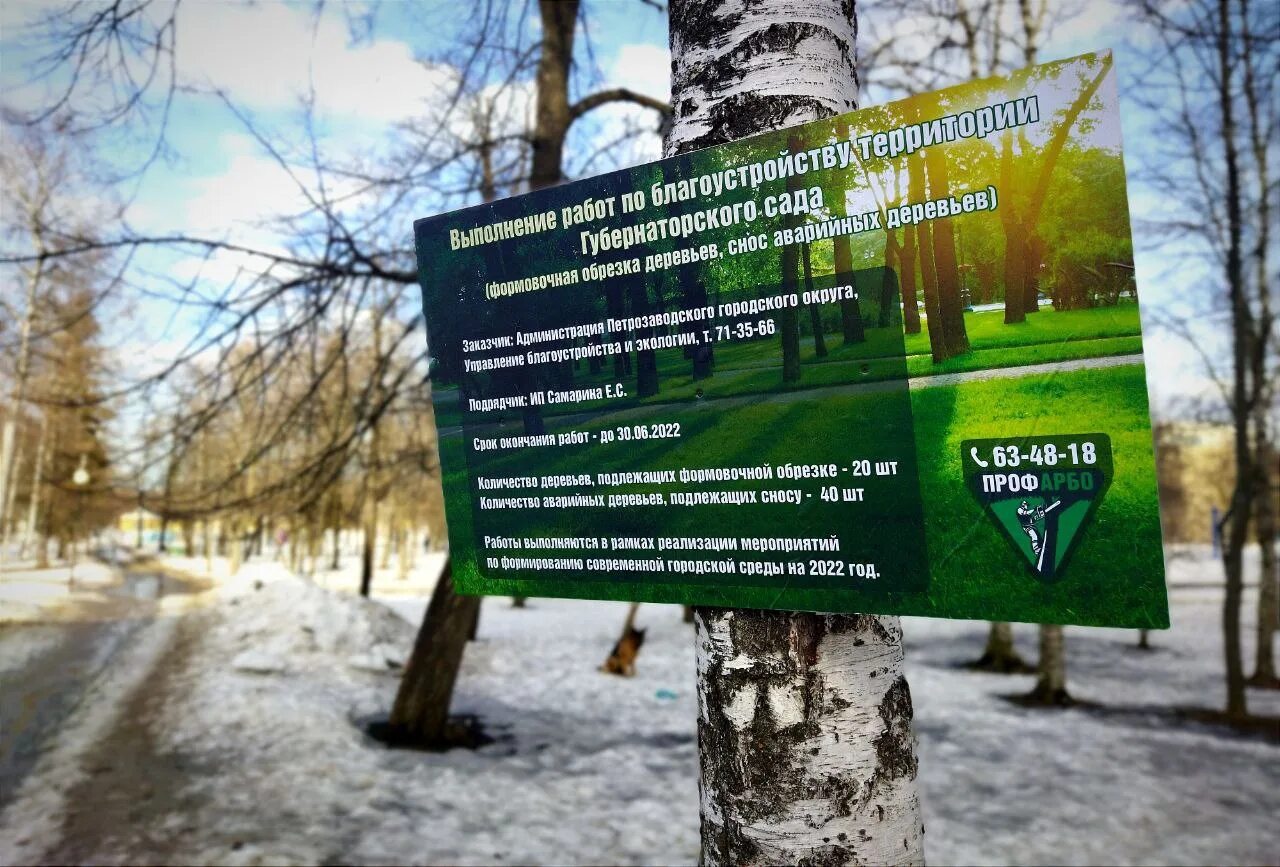 40 деревьев