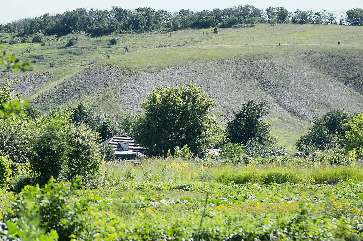 Village воронеж. Заброшенные деревни Воронежской области Острогожского района. Хутор десятки Воронежская область. Заброшенные села Воронежской области. Острогожский район заброшенные села.