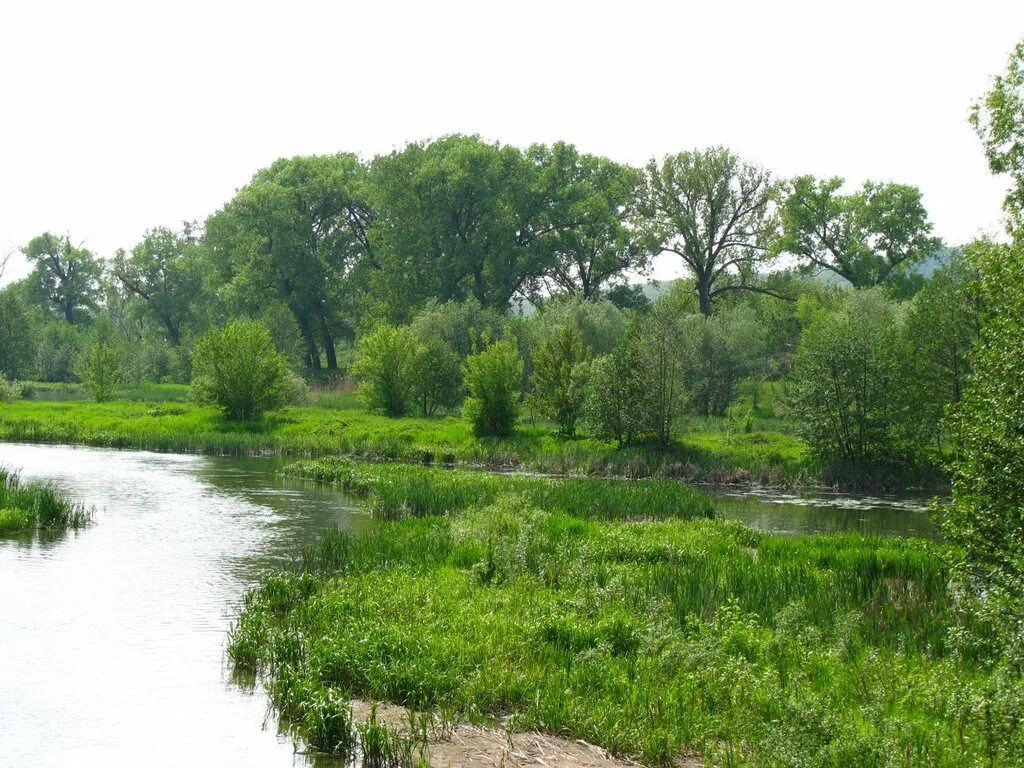 Погода на неделю в новом осколе белгородской. Платина новый Оскол. Новый Оскол Белгородская. Новый Оскол достопримечательности. Достопримечательности нового Оскола Белгородской области.