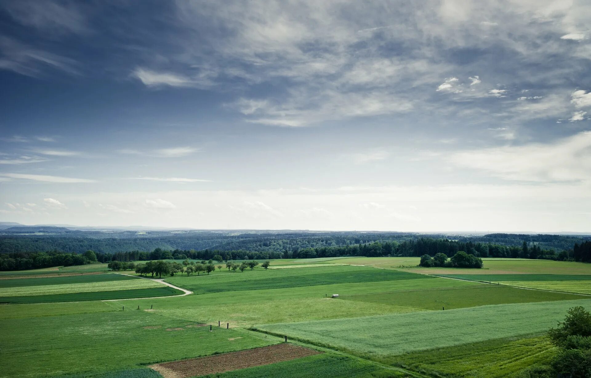 Where field field