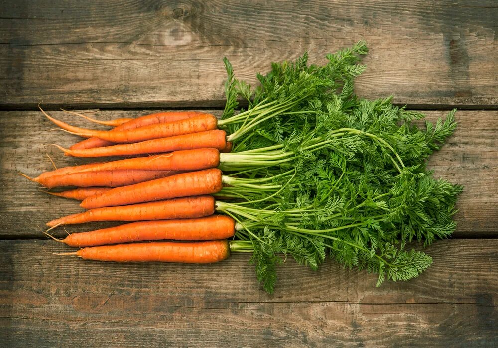 Carrot vegetable. Морковь Кардинал. Морковь с ботвой. Красивая морковь. Красивая морковка.