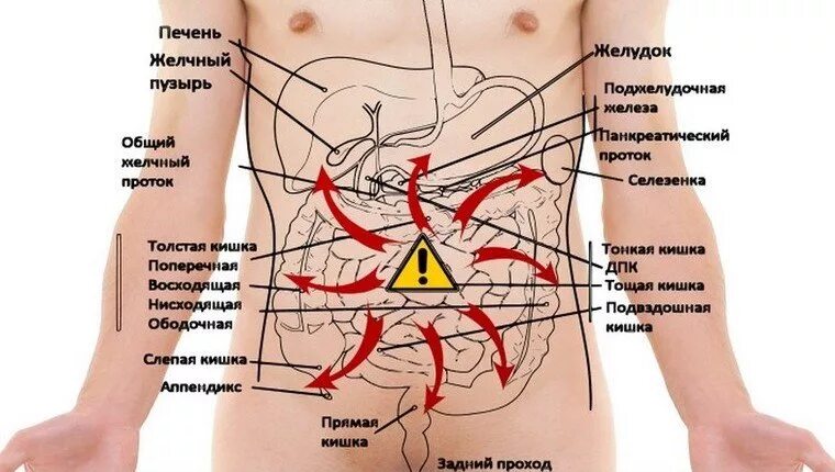 Где бока. Болит бок справа. Болит под ребрами. Болит бок слева. Левая сторона под ребрами.