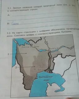 Для этой природной зоны характерны