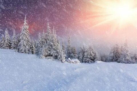 Snowstorm