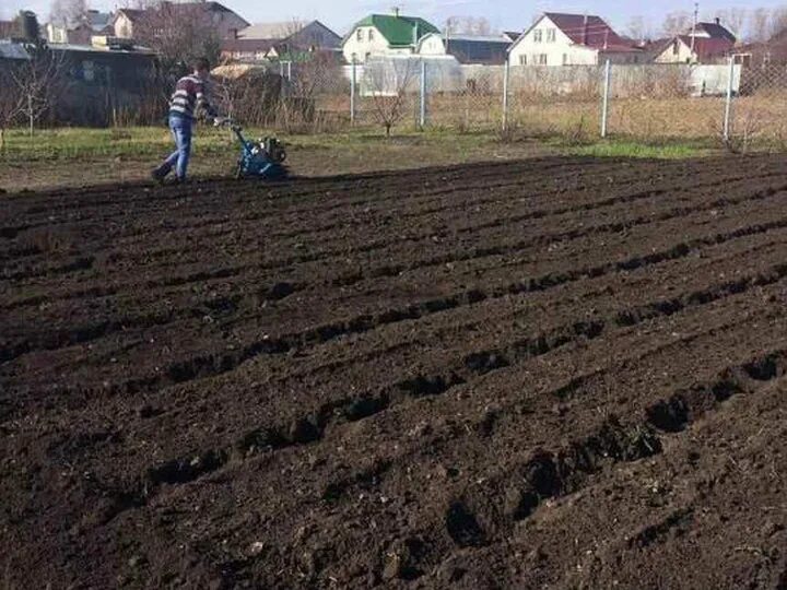 Вспашка участка. Культивация участка. Вспаханный огород. Вспаханные грядки. Вспашка земли авито