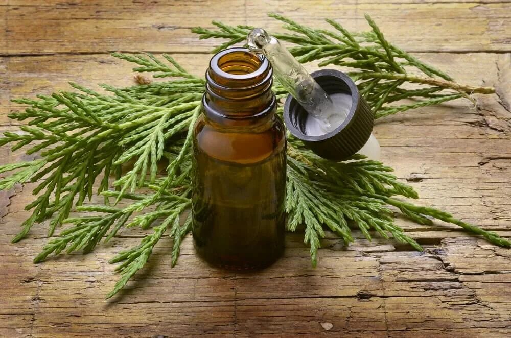 Аромаванна «можжевельник». Эфирное масло можжевельника гринвей. Эфирное масло можжевельника. Можжевельник запах. Эфирное масло пихта медикомед.