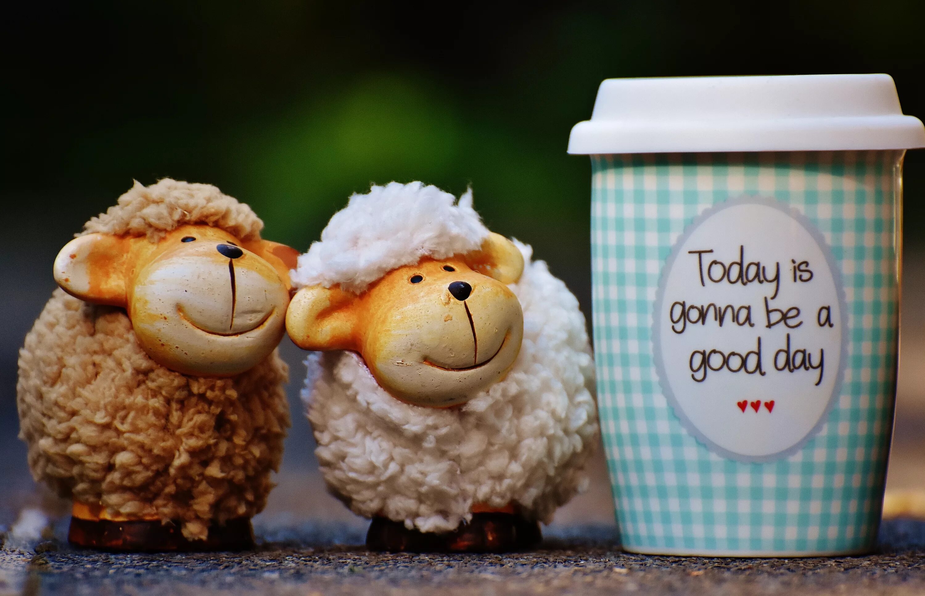 Buon giorno Cute good morning quotes, Happy day quotes, Good day sunshine
