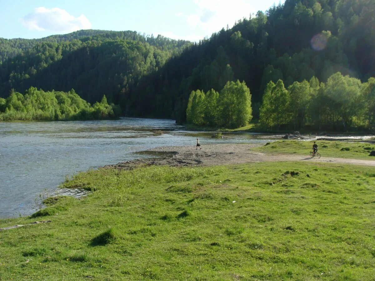 Село большая речка Ермаковского района Красноярского края. Большая речка (Красноярский край). Река Оя Красноярский край. Красноярский край, Ермаковский р-н, пос. большая речка.