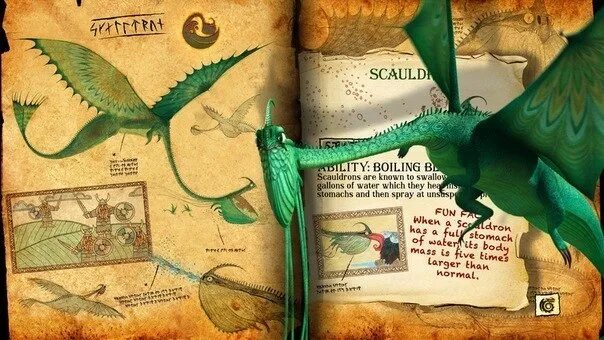 Книга драконов из как приручить дракона. Книга драконов из мультика. кипятильник дракон книга драконов. книга иккинга про драконов. как приручить дракона дневник драконов.