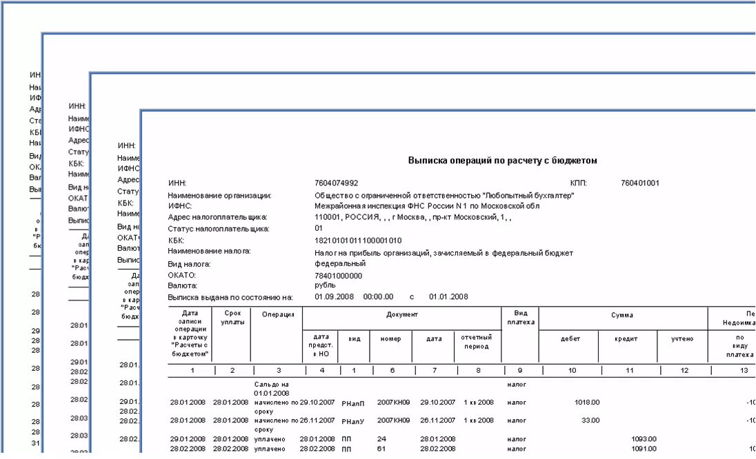 Сверка с налоговым органом. Выписка по расчету с бюджетом ИФНС. Выписка операций по расчетам. Выписка по операциям с бюджетом. Выписка операций по расчетам с бюджетом.
