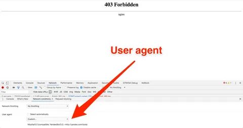 Forbiddensynx