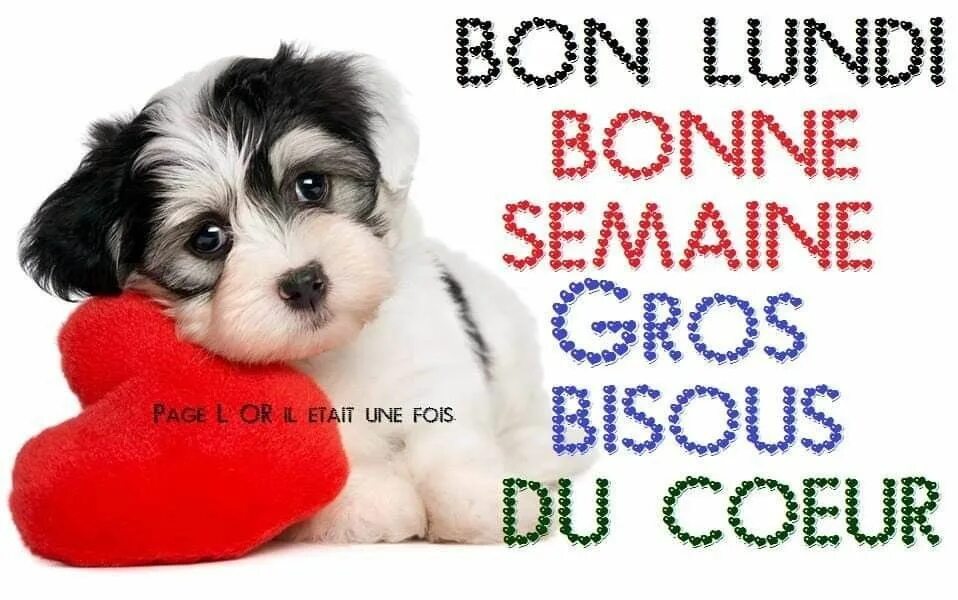 C est un bon. Bonne semaine картинки. bon lundi картинки. bon lundi. bonne semaine. картинки. bon mercredi картинки с надписями.