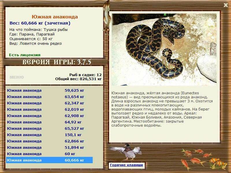 ящерица краткое описание. род пресмыкающихся. геккон бородатая агама. зеленая игуана. род пресмыкающихся.