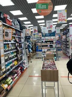 Четыре лапы липецк