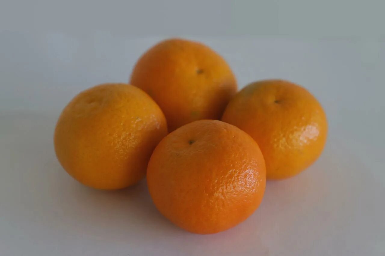 Мандарин фрукт витамины. Клементин фрукт. Клементины фото фрукта. Сорт мандаринов на букву х.
