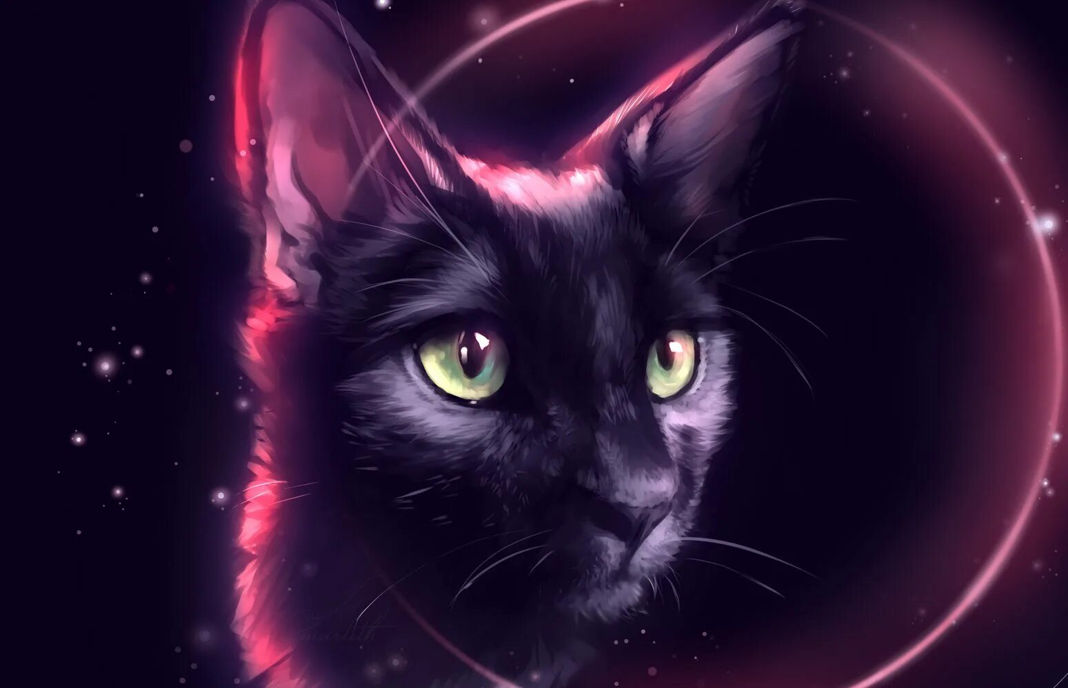 Аватарки кошки. Кошка арт. Фэнтези кошки. Чёрный кот арт. Красивая кошка арт.