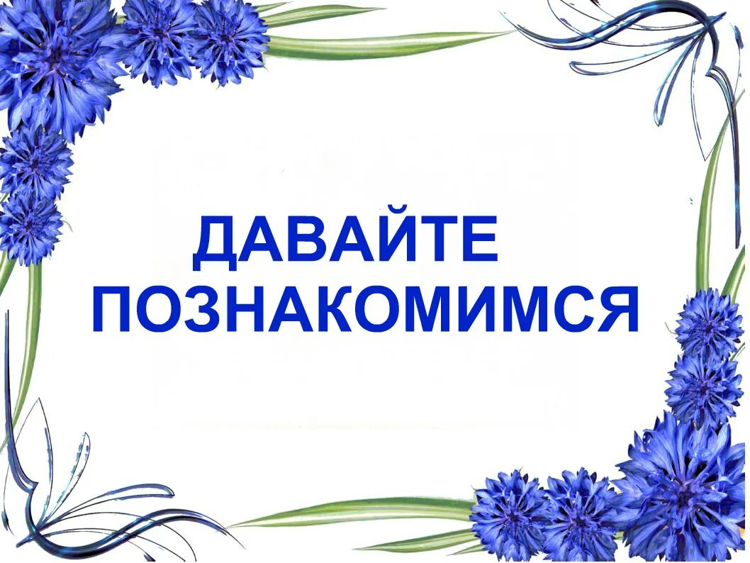 семейство сложноцветные василек синий. васильки адреса на карте. васильки роспись. василек ивановский. девиз группы васильки в детском саду.