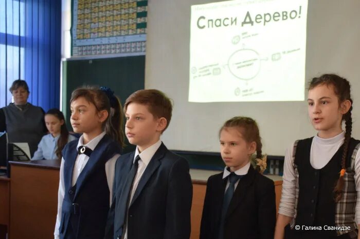 сетевая школа кингисепп