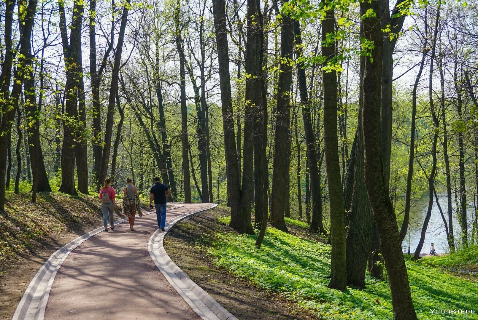 Воздушная экотропа в ландшафтном парке вднх. Курортный парк кисловодск терренкур. Пешая экотропа москва. Пешая тропа в москве. Мещерский парк дорожки.