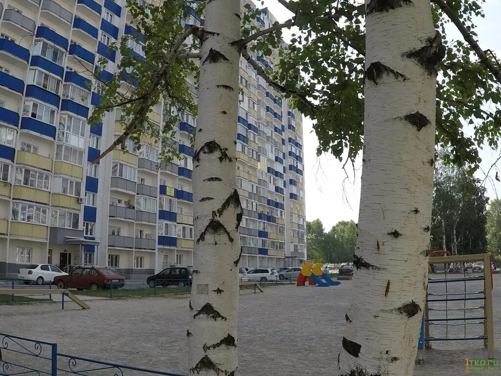 Объявление № 76956103 - продажа земли в Березовом кп - N1.RU Мошковский район, Б